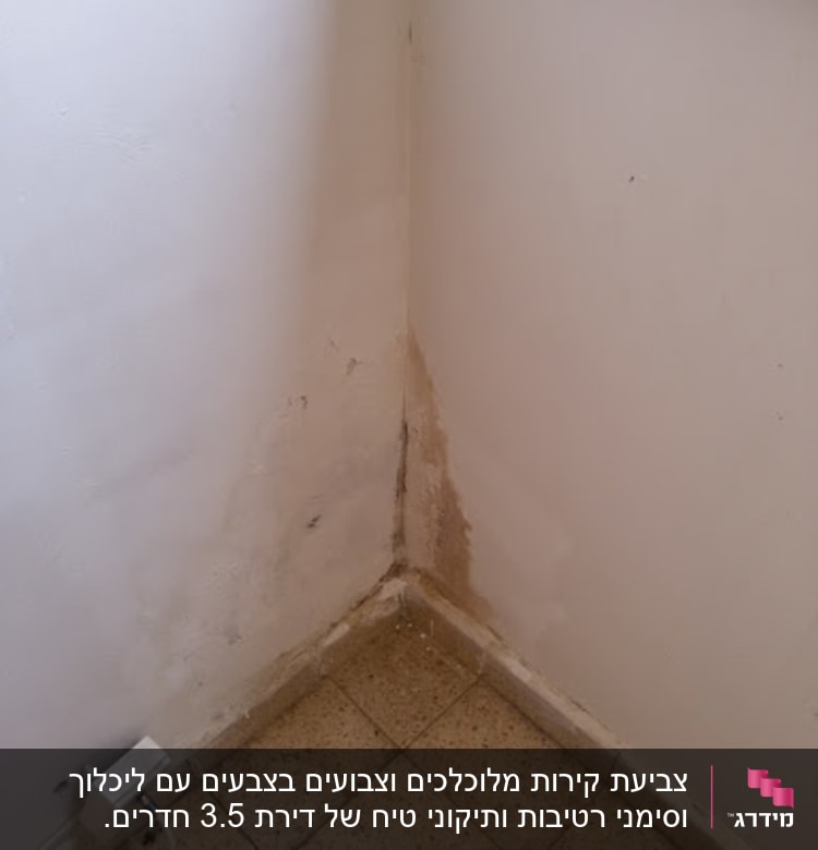 קיר עם סימני רטיבות ופגמים בצבע